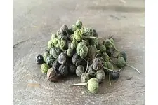 Acı Çehre Tohumu Kabızlık Acı Çehre Tohumu Kabızlık