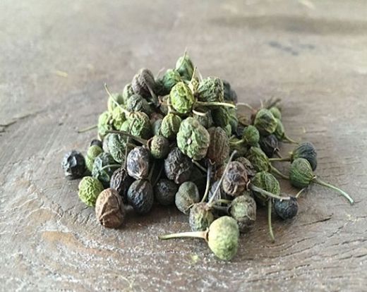 Acı Çehre Tohumu Kabızlık