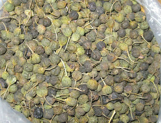 Acı Çehre Çayı Nasıl Kullanılır?